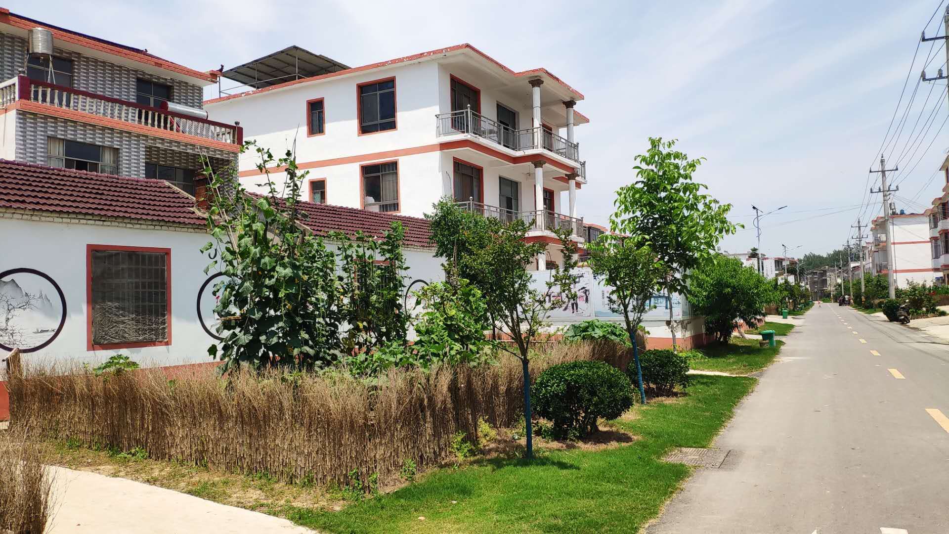 五河县城关镇胜淮村村容村貌整洁靓丽