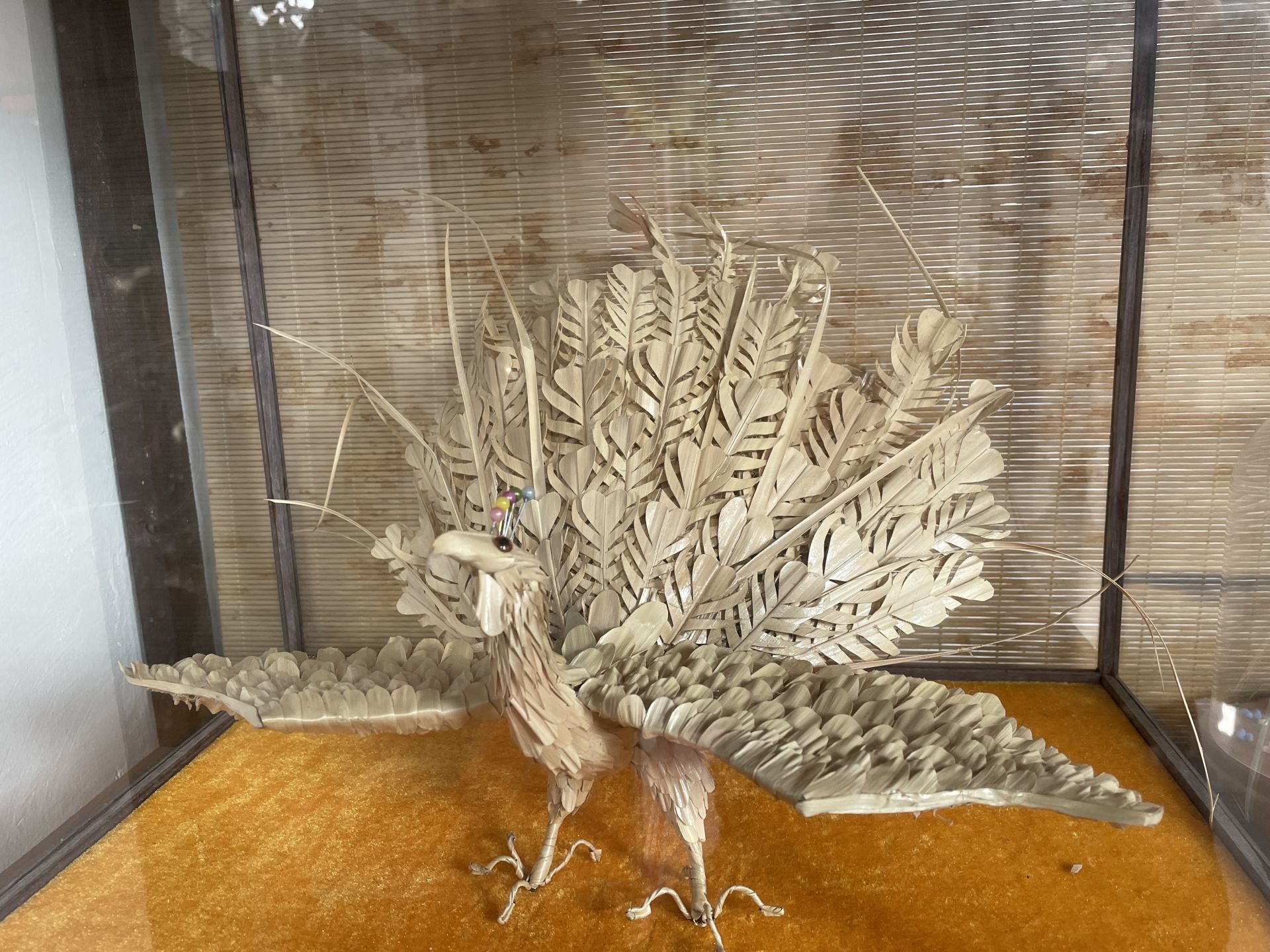 何树育的草编作品孔雀.