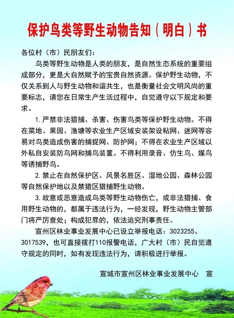在日常生产生活过程中,严禁非法猎捕,杀害,伤害鸟类等保护野生动物