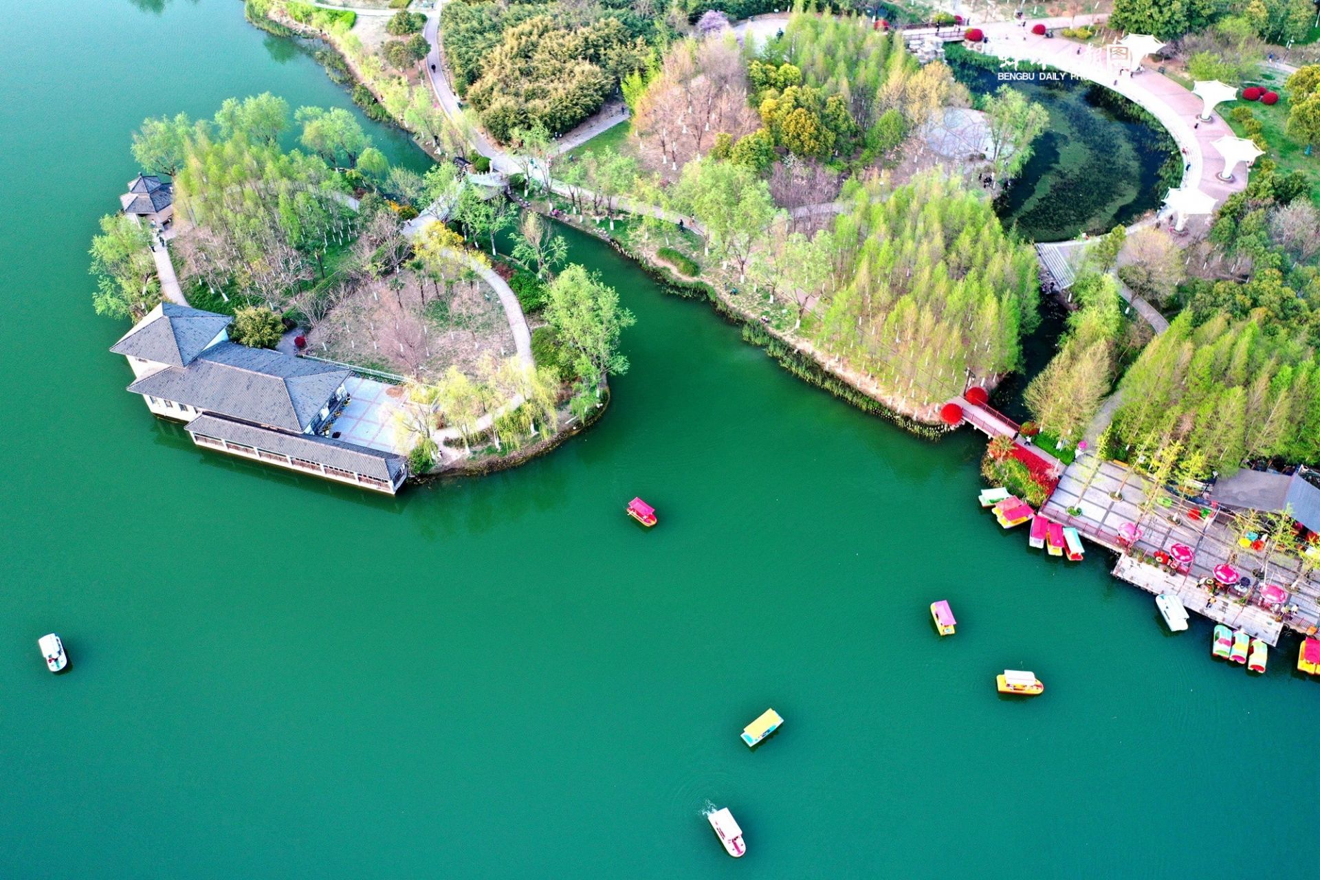 固镇:浮芳岛_蚌埠新闻网